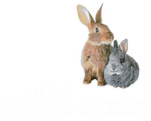 Visit Mercer County, WV